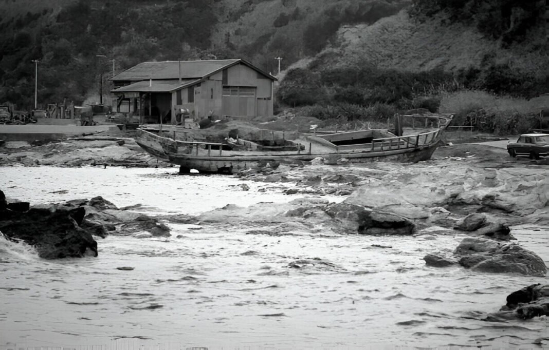 1931 China Floods main